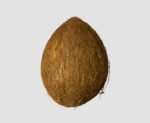 Coconut ( without tail)