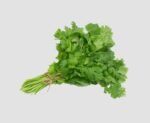 Coriander set