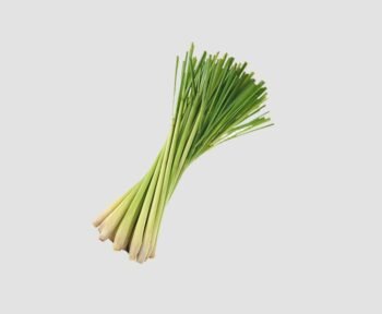 Lemon grass bunch