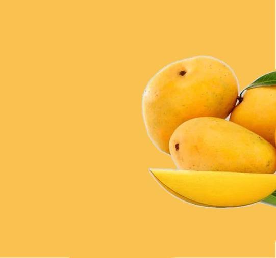 Mangoes Banner